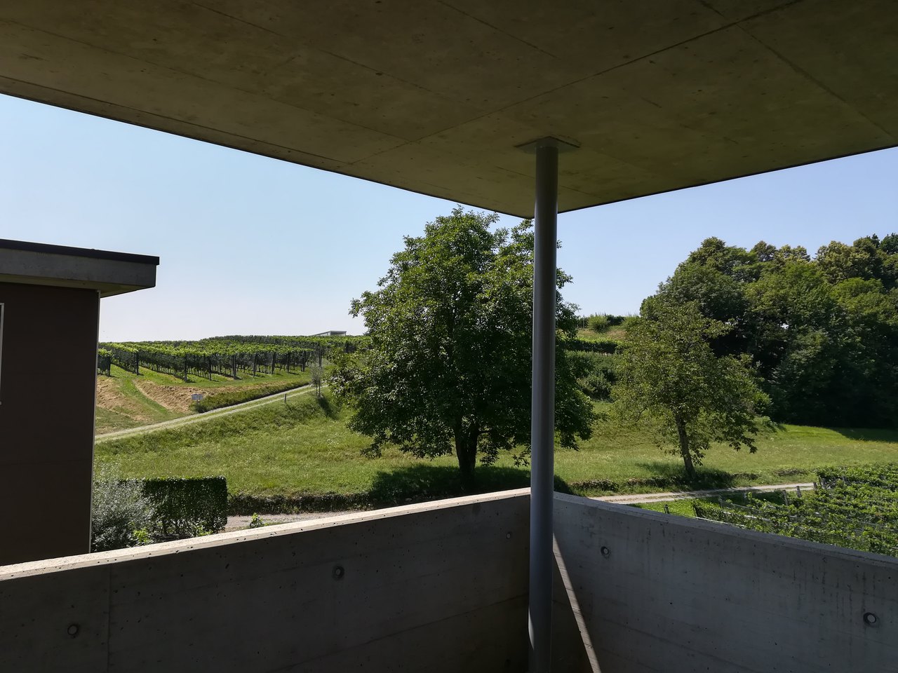 Vista dalla terrazza , Appartamento affitto, 6874 Castel S. Pietro