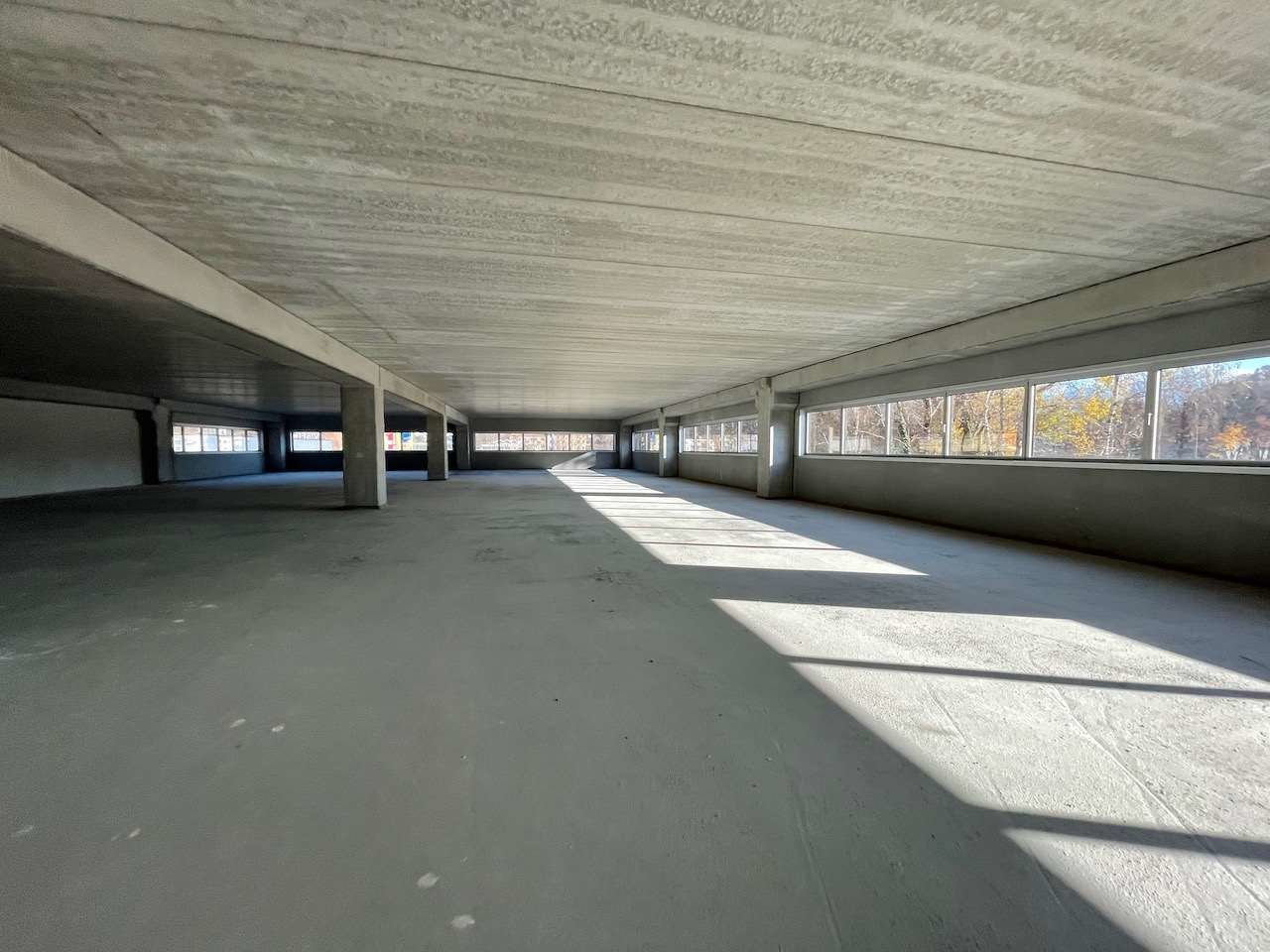 ... , Spazio commerciale affitto, 6930 Bedano