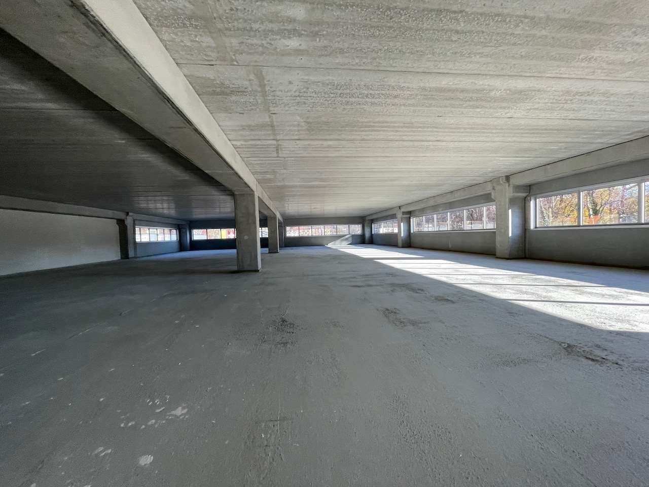 ... , Spazio commerciale affitto, 6930 Bedano
