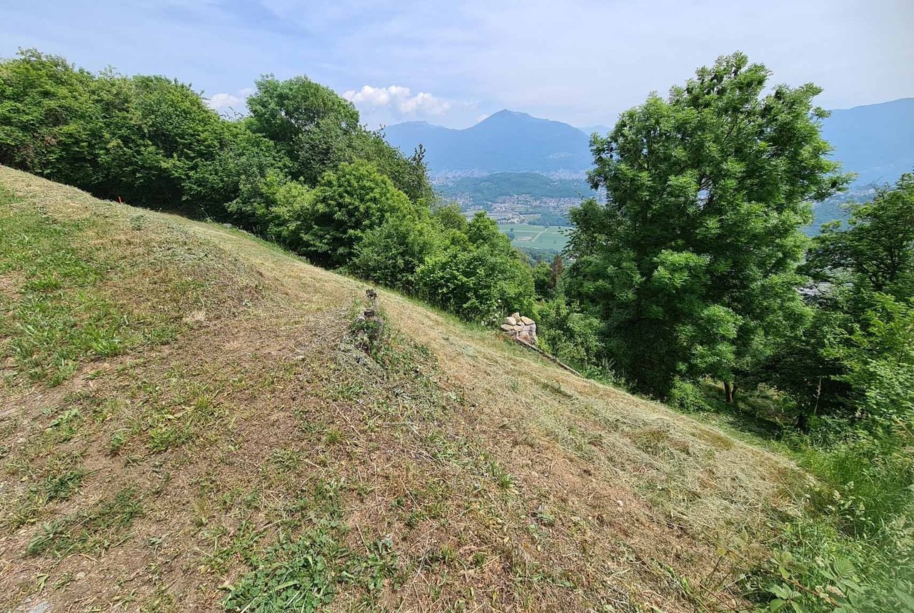 Immagine 2 , Terreno vendita, 6936 Cademario