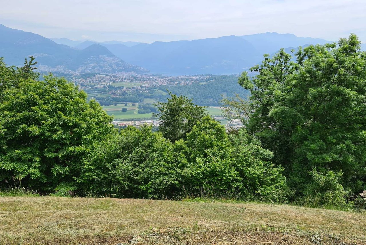 Immagine 3 , Terreno vendita, 6936 Cademario