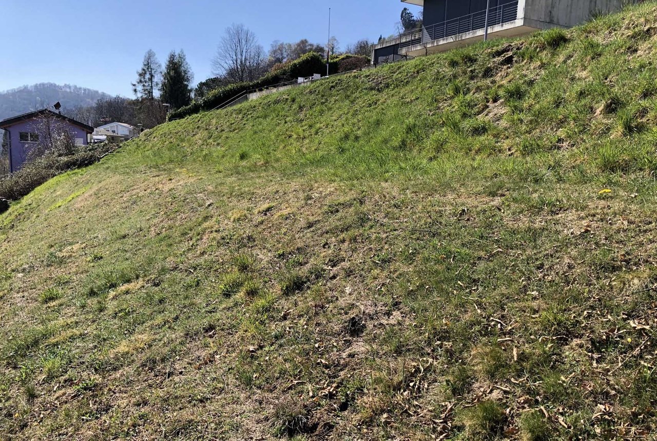 Immagine 5 , Terreno vendita, 6936 Cademario